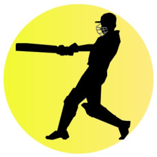 Cricket Cricket