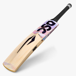 DSC Condor Cirrus Kashmir Willow Cricket Bat