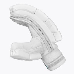 DSC Cynos 2020 Cricket Batting Gloves DSC Cynos 2020 Cricket Batting Gloves