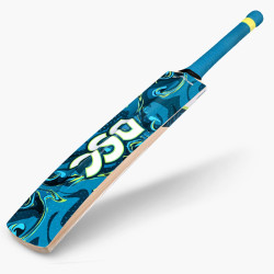 DSC Drake Kashmir Willow Cricket Bat