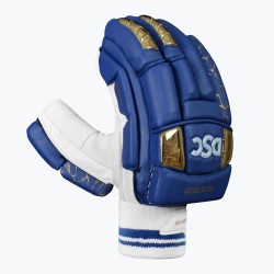 DSC Flite 20/20 Cricket Batting Gloves (Blue)