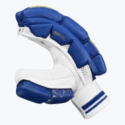 DSC Flite 20/20 Cricket Batting Gloves (Blue) DSC Flite 20/20 Cricket Batting Gloves (Blue)