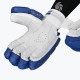 DSC Flite 20/20 Cricket Batting Gloves (Blue) DSC Flite 20/20 Cricket Batting Gloves (Blue)