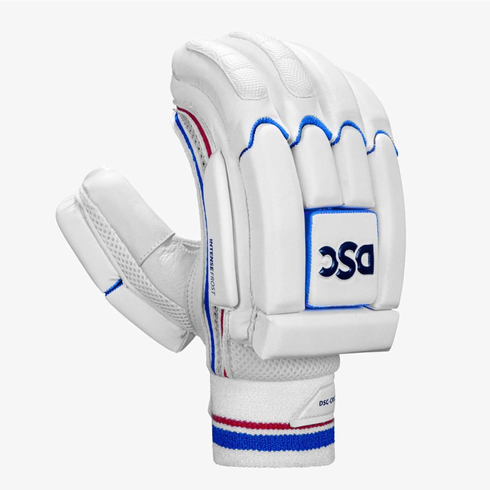 DSC Intense Frost Cricket Batting Gloves DSC Intense Frost Cricket Batting Gloves