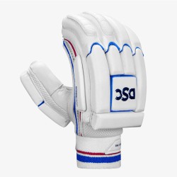 DSC Intense Frost Cricket Batting Gloves