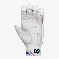 DSC Intense Frost Cricket Batting Gloves DSC Intense Frost Cricket Batting Gloves