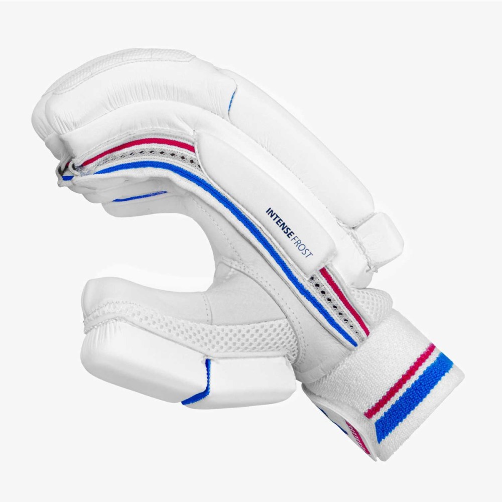 DSC Intense Frost Cricket Batting Gloves DSC Intense Frost Cricket Batting Gloves