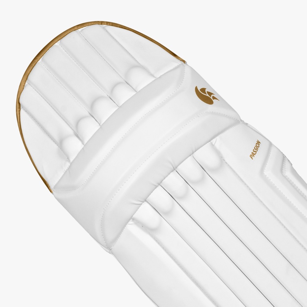 DSC Passion Cricket Batting Leg Guard DSC Passion Cricket Batting Leg Guard