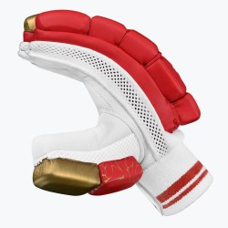 DSC Strike 20/20 Cricket Batting Gloves (Red) DSC Strike 20/20 Cricket Batting Gloves (Red)