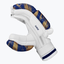 DSC Surge Cricket Batting Gloves DSC Surge Cricket Batting Gloves