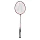 Ashaway Palladium XT 80 Badminton Racket Ashaway Palladium XT 80 Badminton Racket