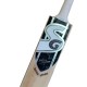 SG ROAR SPARK Kashmir Willow Cricket Bat SG ROAR SPARK Kashmir Willow Cricket Bat
