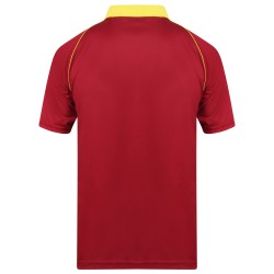 West Indies T20 World Cup 2019 Half Sleeves Cricket Fan Jersey - 100% Dryfit Polyester - With Name Personalization