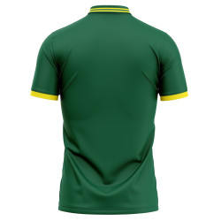 South Africa ODI World Cup 2023 Half Sleeves Cricket Fan Jersey - 100% Dryfit Polyester - With Name Personalisation