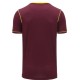 West Indies T20 World Cup 2021 Half Sleeves Cricket Fan Jersey - 100% Dryfit Polyester - With Name Personalization