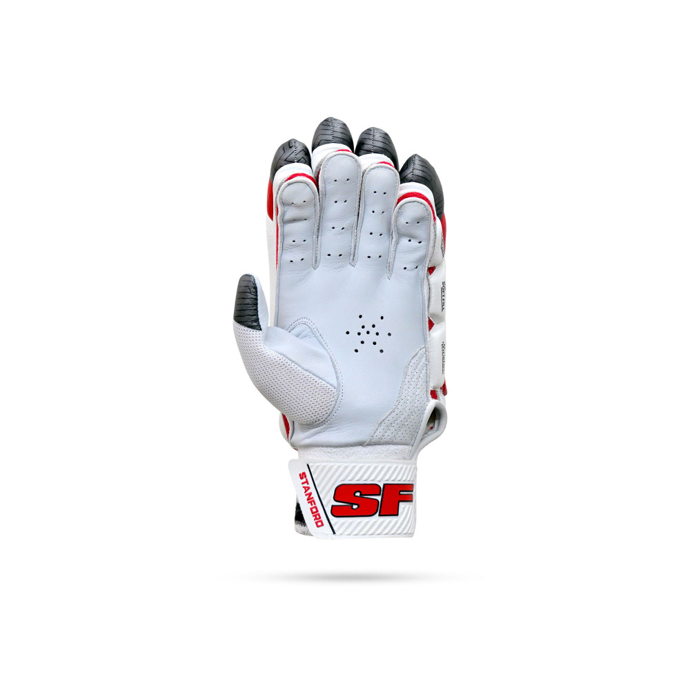 Stanford Test Cricket Batting Gloves Stanford Test Cricket Batting Gloves