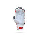 Stanford Test Cricket Batting Gloves Stanford Test Cricket Batting Gloves