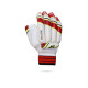 Stanford College Cricket Batting Gloves