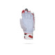 Stanford Match Cricket Batting Gloves Stanford Match Cricket Batting Gloves
