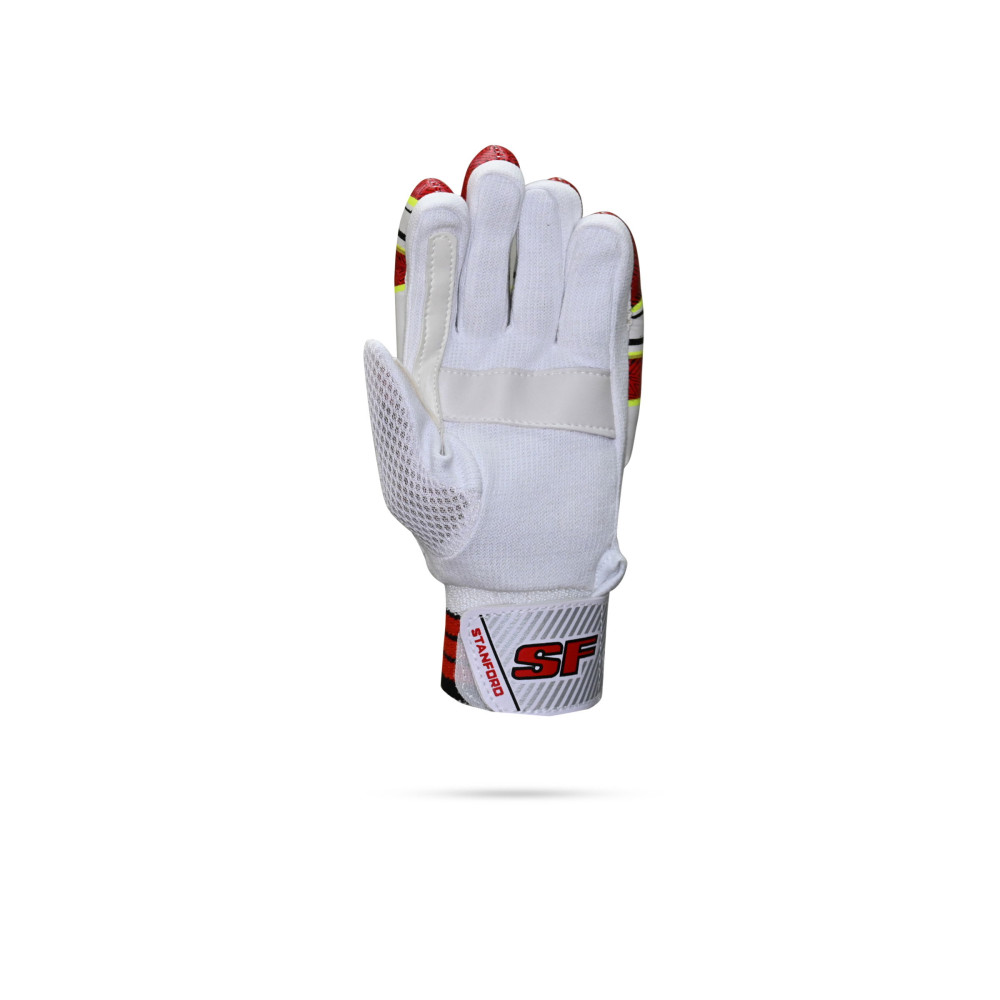 Stanford College Cricket Batting Gloves