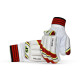 Stanford College Cricket Batting Gloves