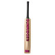 SS Vintage Platinum Kashmir Willow Cricket Bat SS Vintage Platinum Kashmir Willow Cricket Bat