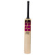 SS Vintage Platinum Kashmir Willow Cricket Bat SS Vintage Platinum Kashmir Willow Cricket Bat