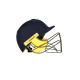 SS Pro Premium Cricket Helmet SS Pro Premium Cricket Helmet