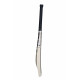 SS Tim David Player Kashmir Willow Cricket Bat SS Tim David Player Kashmir Willow Cricket Bat