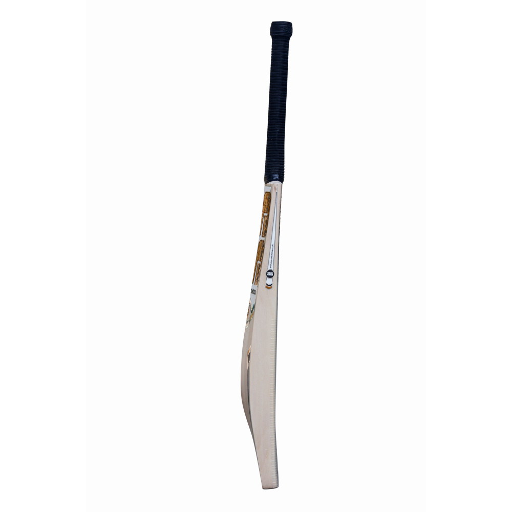 SS World Cup Kashmir Willow Cricket Bat SS World Cup Kashmir Willow Cricket Bat
